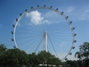 The Singapore Flyer up close
