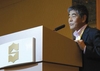 Mike Maruo, marketing director at Kobelco, spoke of Japan's 